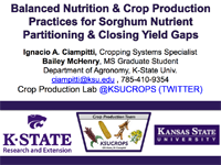 Balanced Nutrition and Crop Production Practices for Sorghum Nutrient Partitioning and Closing Yield Gaps