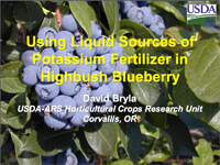 Using Liquid Sources of Potassium Fertilizer in Highbush Blueberry