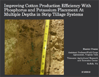 Improving Cotton Production Efficiency With Phosphorus and Potassium Placement At Multiple Depths in Strip Tillage Systems