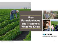 Urea Formaldehydes and Triazones: What We Know