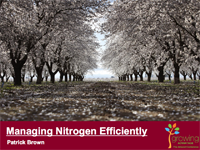 Managing Nitrogen Efficiently (tree crops)