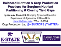 Balanced Nutrition & Crop Production Practices for Sorghum Nutrient Partitioning & Closing Yield Gaps