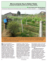 Micronutrients Key to Better Yields