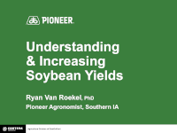 Understanding and Increasing Soybean Yields