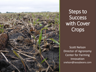 Steps to Success with Cover Crops – Scott Nelson