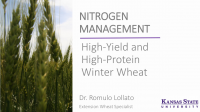 N Management High-Yield and High-Protein Winter Wheat – Lollato